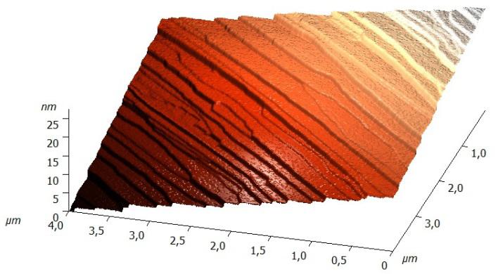 3D AFM topography