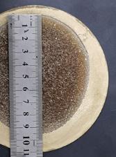 Polycrystalline AlN on TaC disc